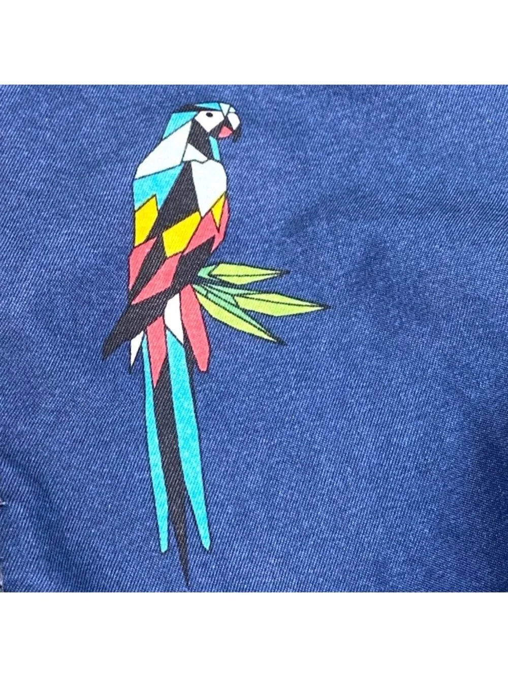 Okanu Surf Toddler Boy's Lot of 2 Beach Swim Trunks Parrot Flag Print Size 4T